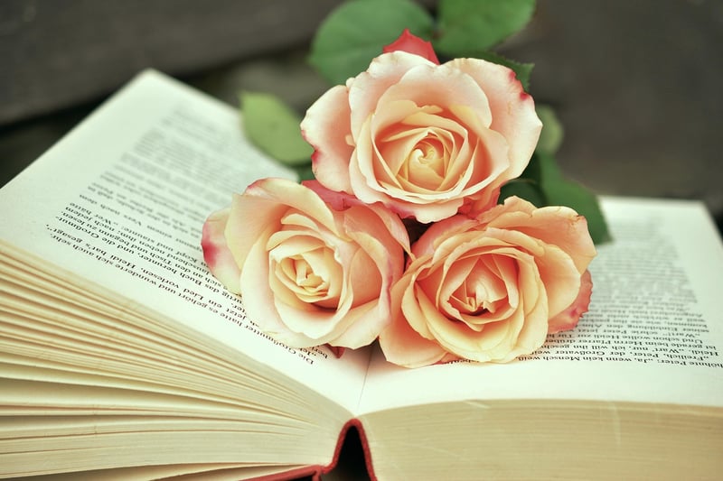 Lifelong Learning